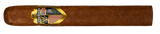 JC Newman The American Toro
