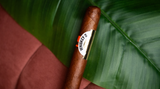 Privada Cigar Club LCA Whiskey D Barrel Aged