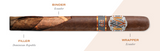 AVO IMPROVISATION Limited Edition 2021
