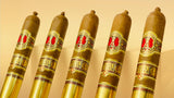 JC Newman Angel Cuesta Shade Toro