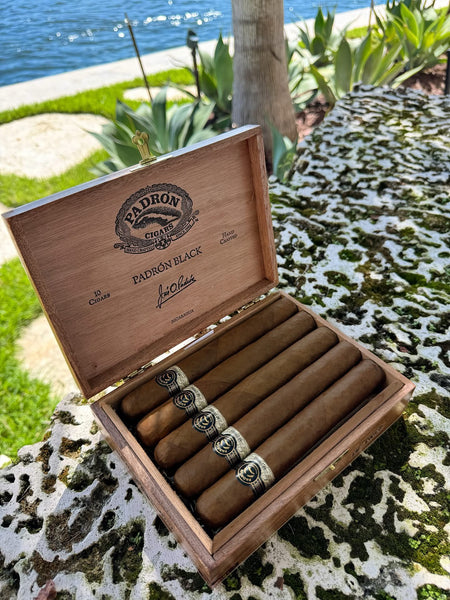 Padrón Black No. 99 PCA exclusive