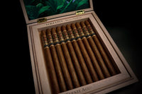 Opus X Lost City Carlito's A