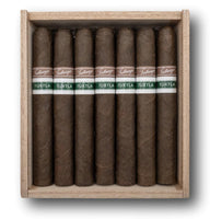 Tatuaje 7th Tuxtla