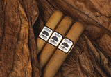 Foundation Charter Oak Shade Rothschild
