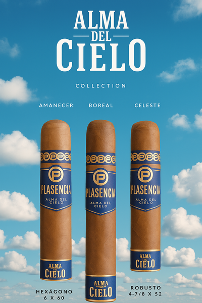 Plasencia Alma Del Cielo Celeste (4 7/8 x 52)