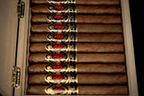 Opus X Purple Rain combo