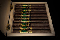 God of Fire KKP Never Back Down Toro Extra