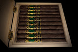 God of Fire KKP Never Back Down Toro Extra